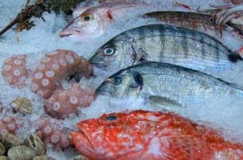 Alarm Praktis untuk Monitoring Suhu Frozen Food