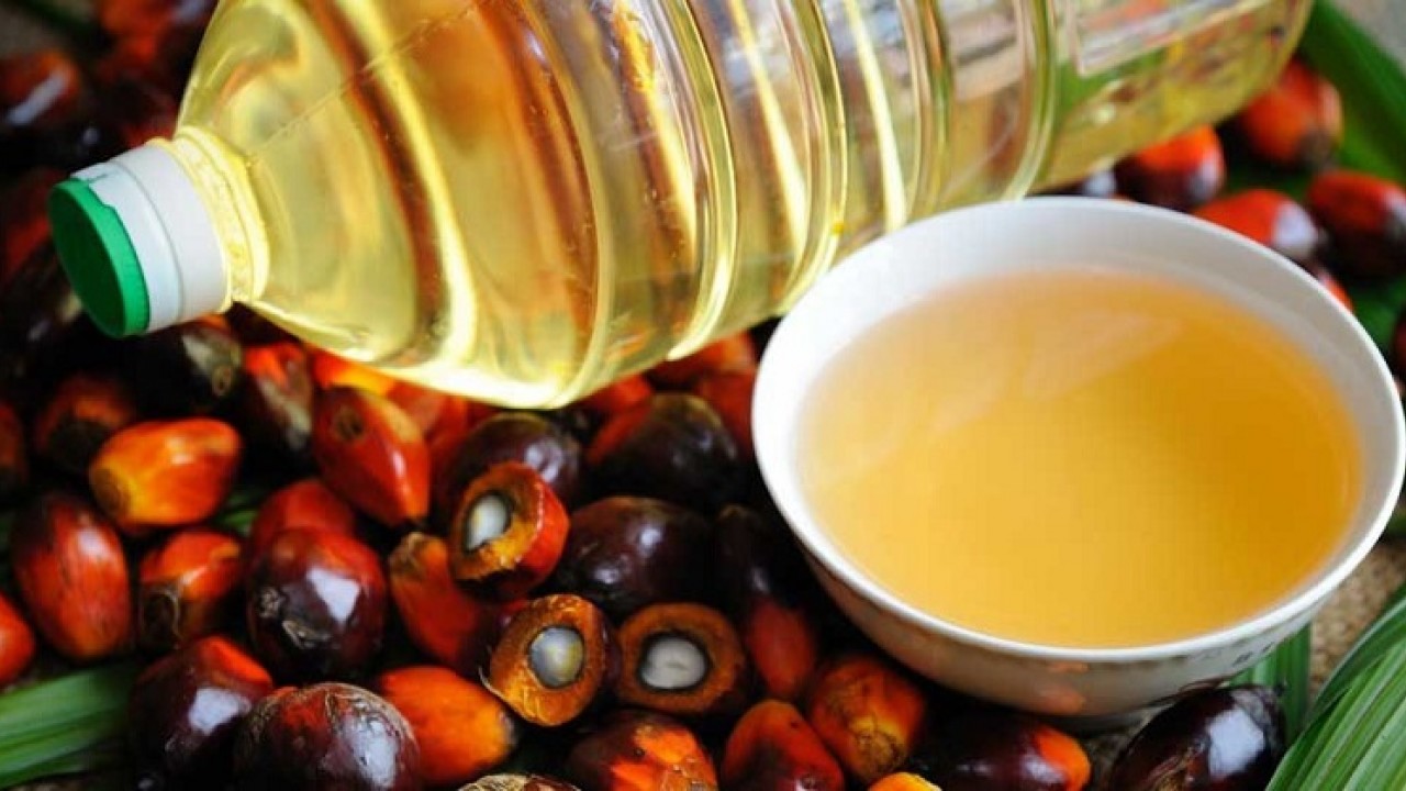 Uji Kadar Air pada Minyak Kelapa Sawit