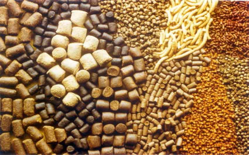 pH sebagai Parameter Kontrol Kualitas Produk Pakan