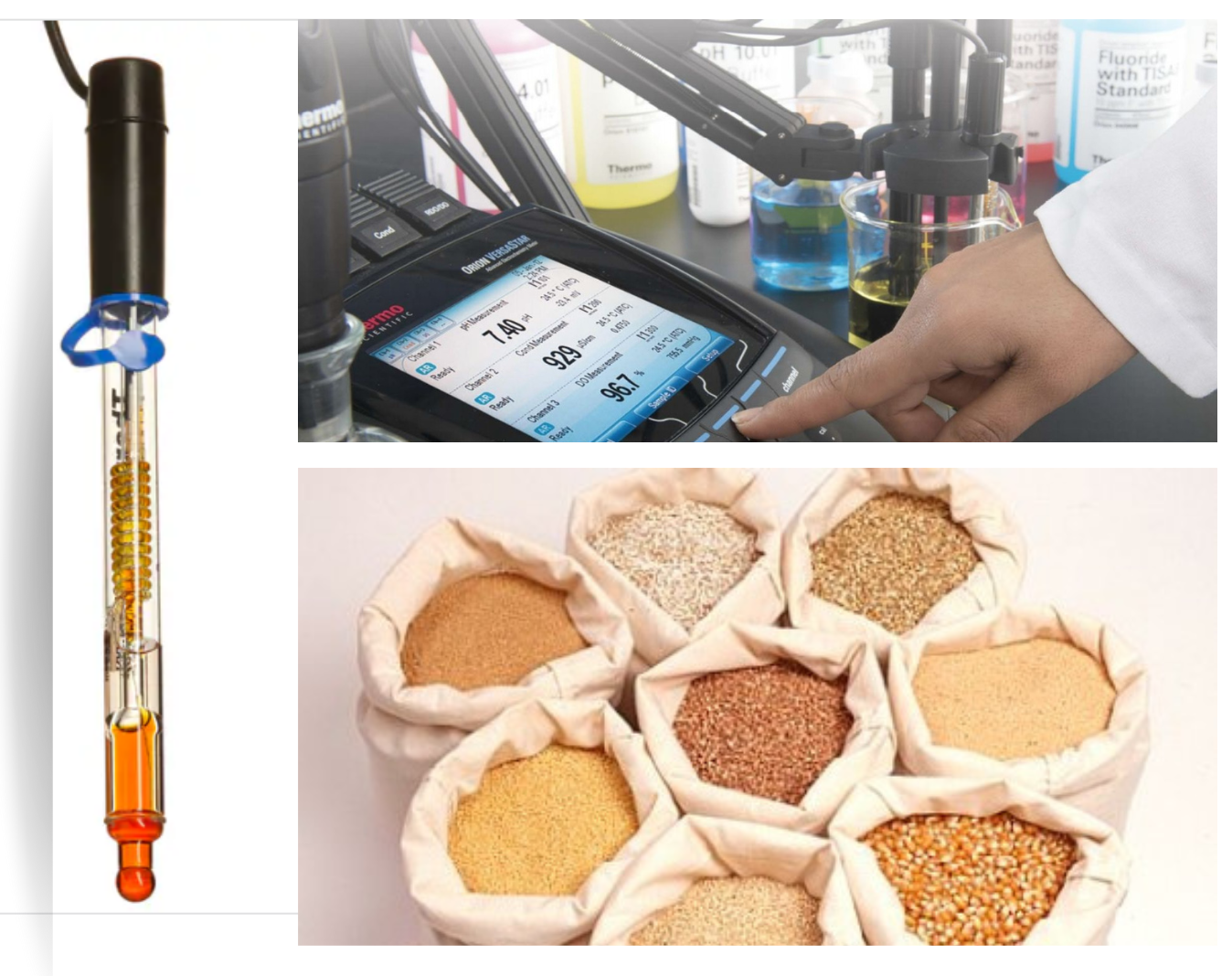 Uji pH pada Produk Pakan