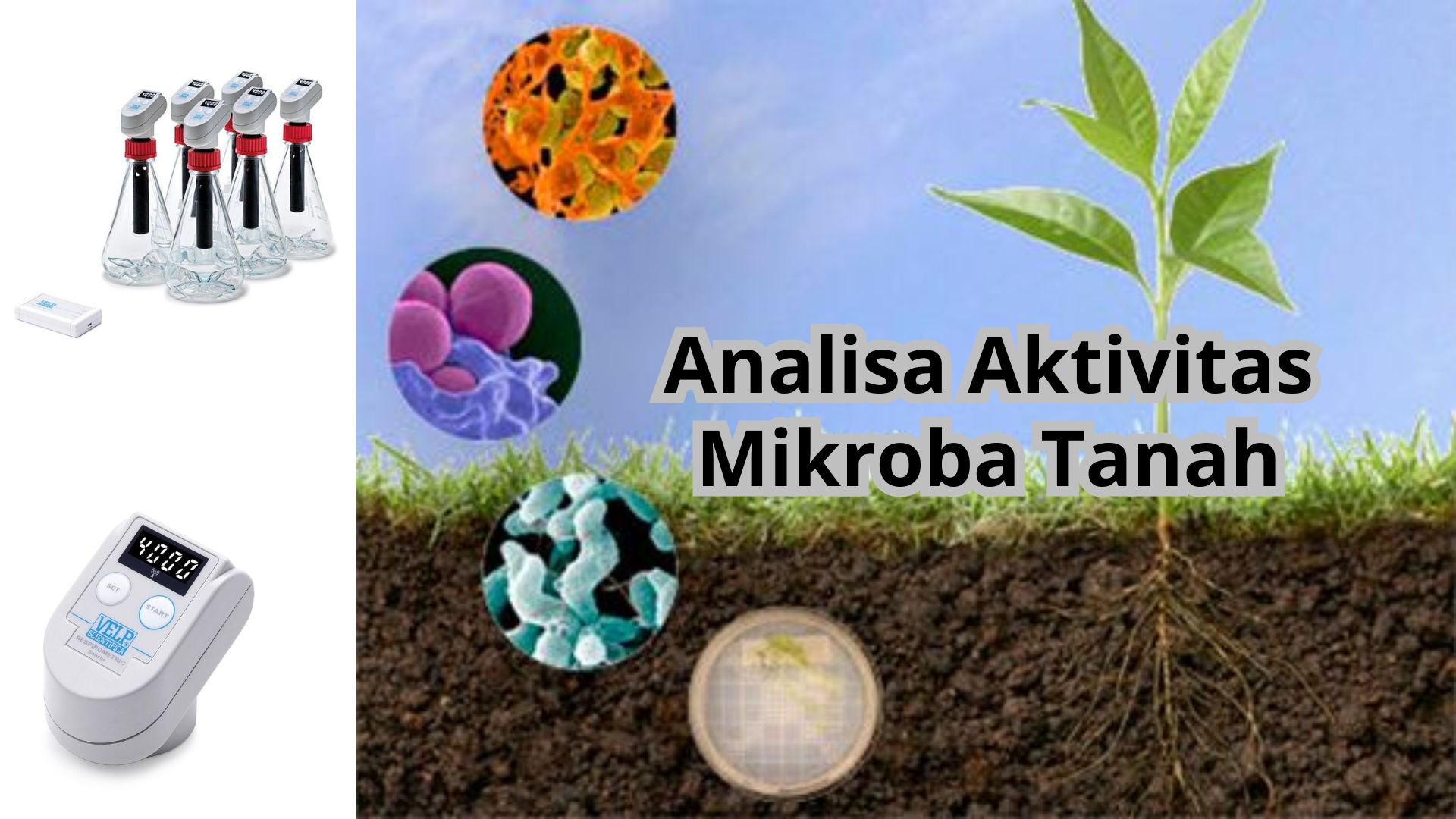 Analisa Aktivitas Mikroba Tanah
