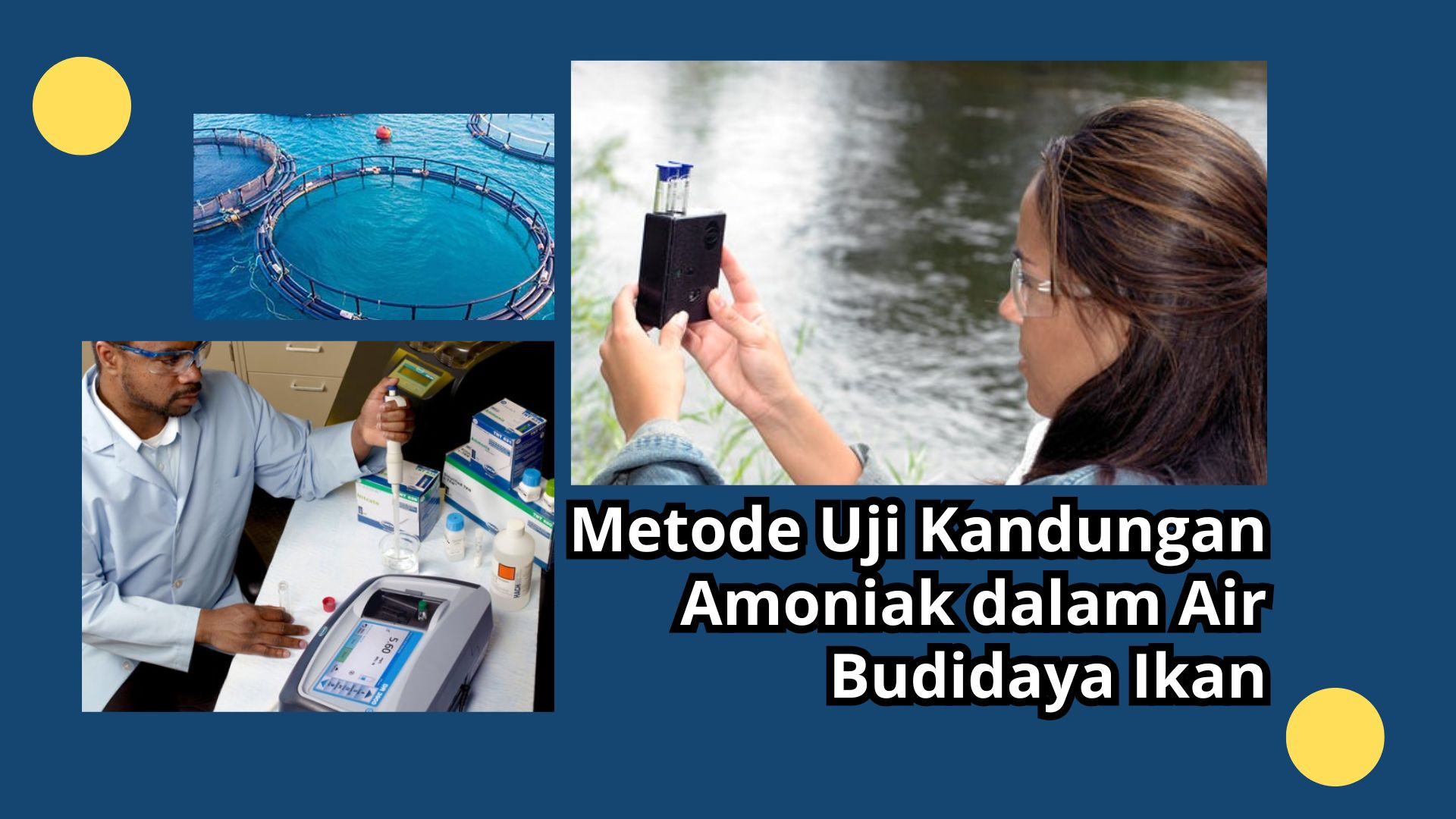 Metode Uji Kandungan Amoniak dalam Air Budidaya Ikan